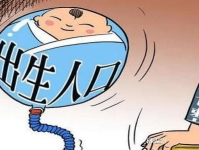 白日做梦打一字,探索梦境与现实的边界”