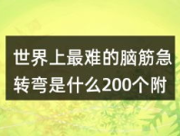 世界上最难的脑筋急转弯,揭秘世界最难脑筋急转弯之谜”